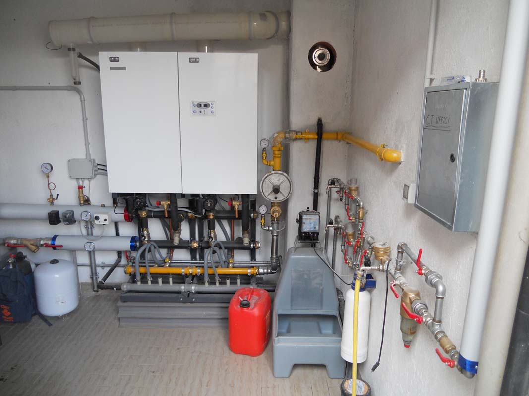 cfp-ceva-2.jpg
